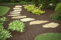 Garden walkway with decorative plants