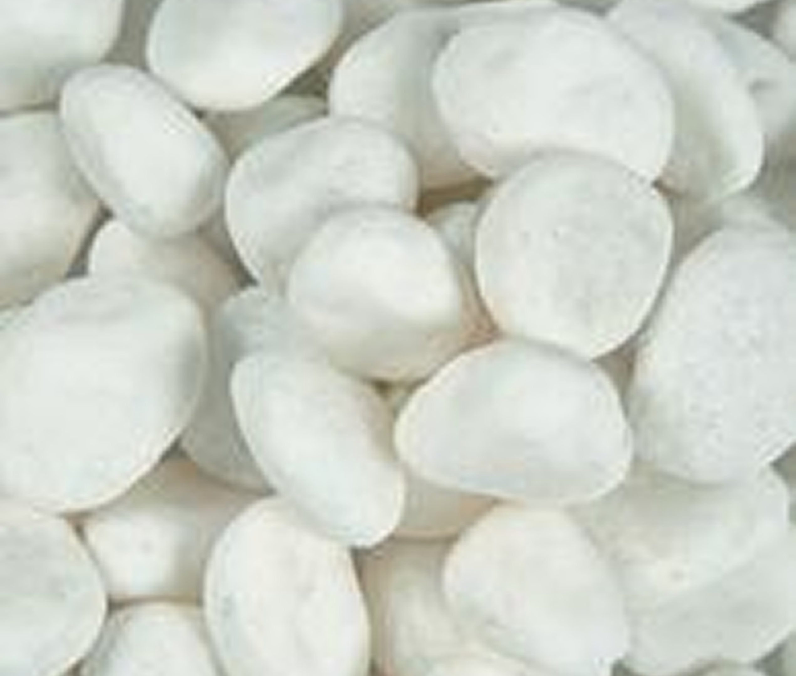 Assorted white candy pieces grouped together.