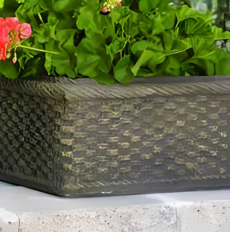 Square planter box with vibrant foliage.