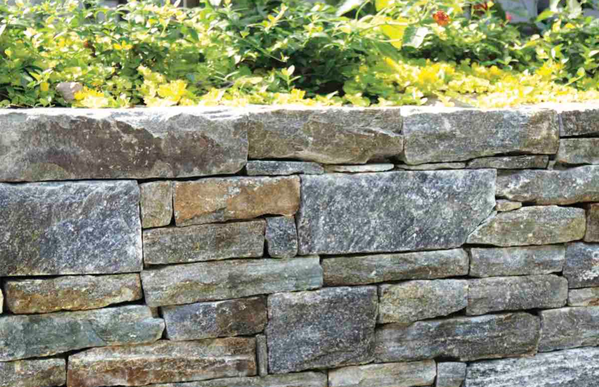 Stone wall with greenery above