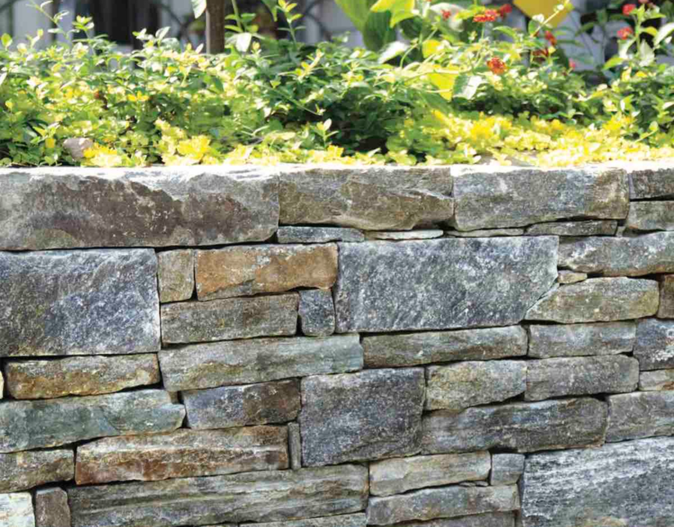 Stone wall with greenery on top
