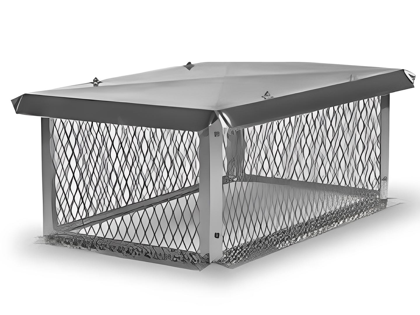 Chimney cap with protective wire mesh