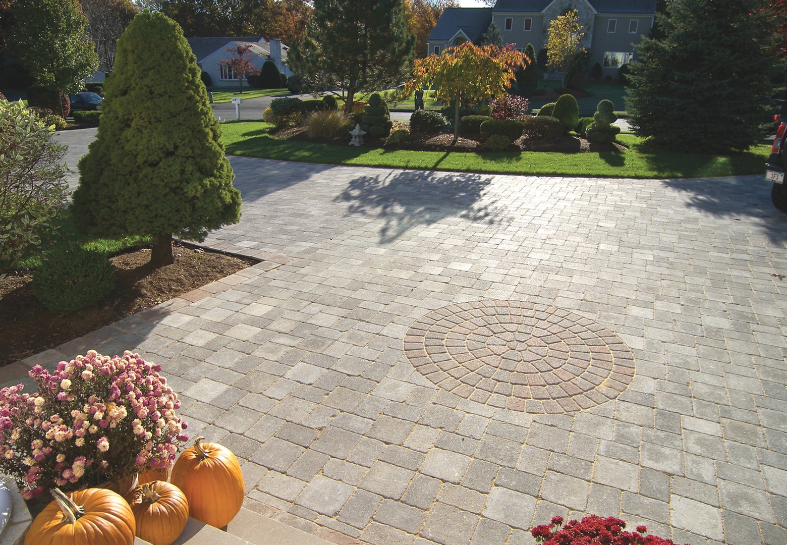 Sunlit driveway featuring pumpkins and plants