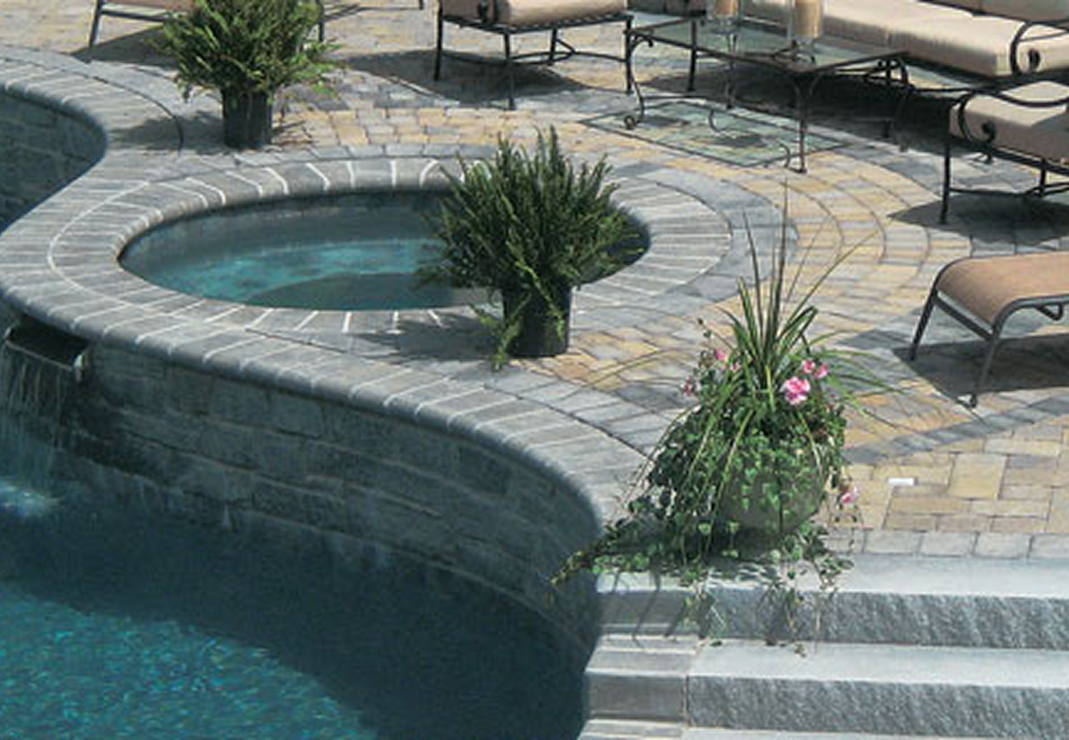 Luxury poolside with plants and loungers