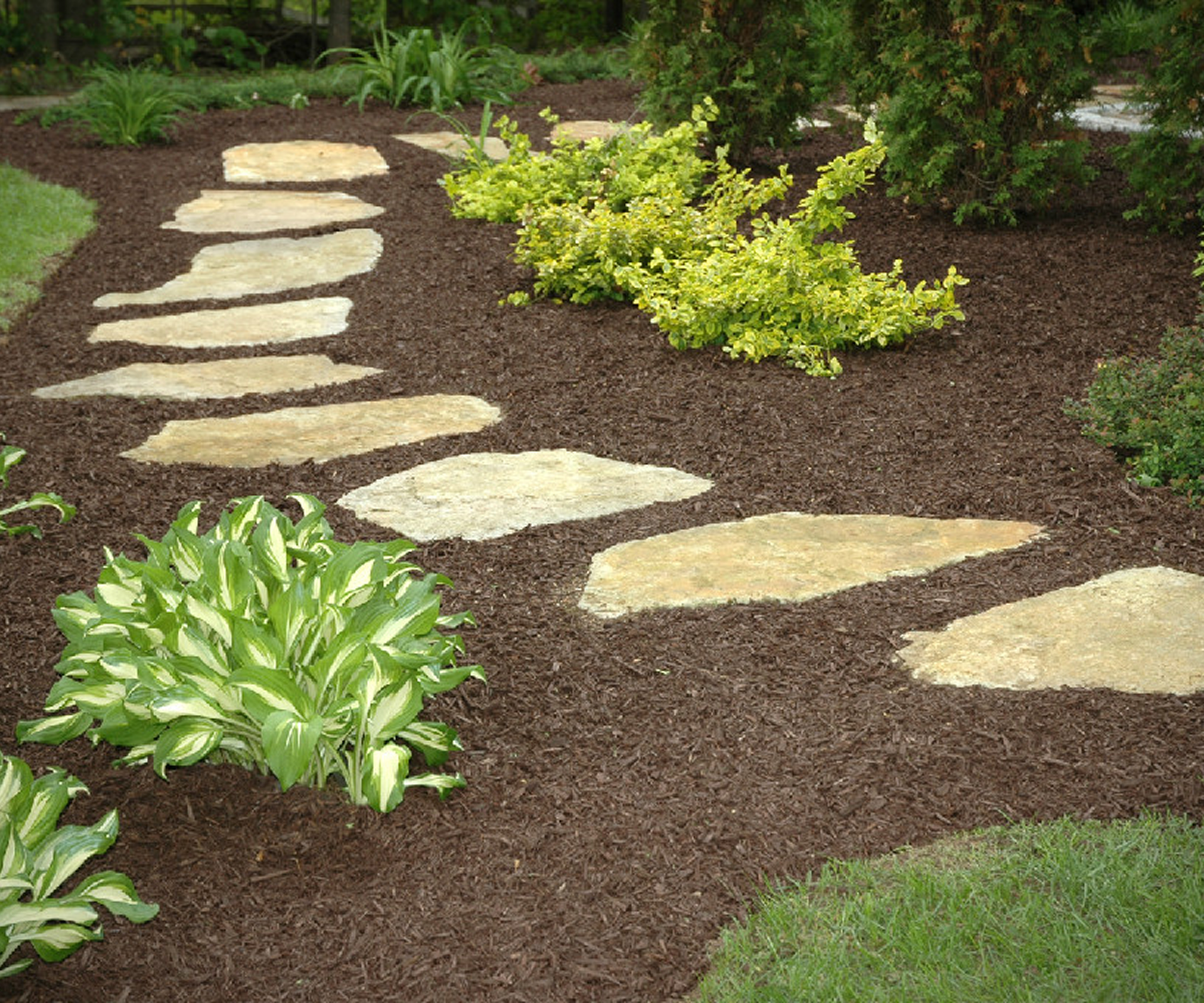 Mulched garden with stone walkway