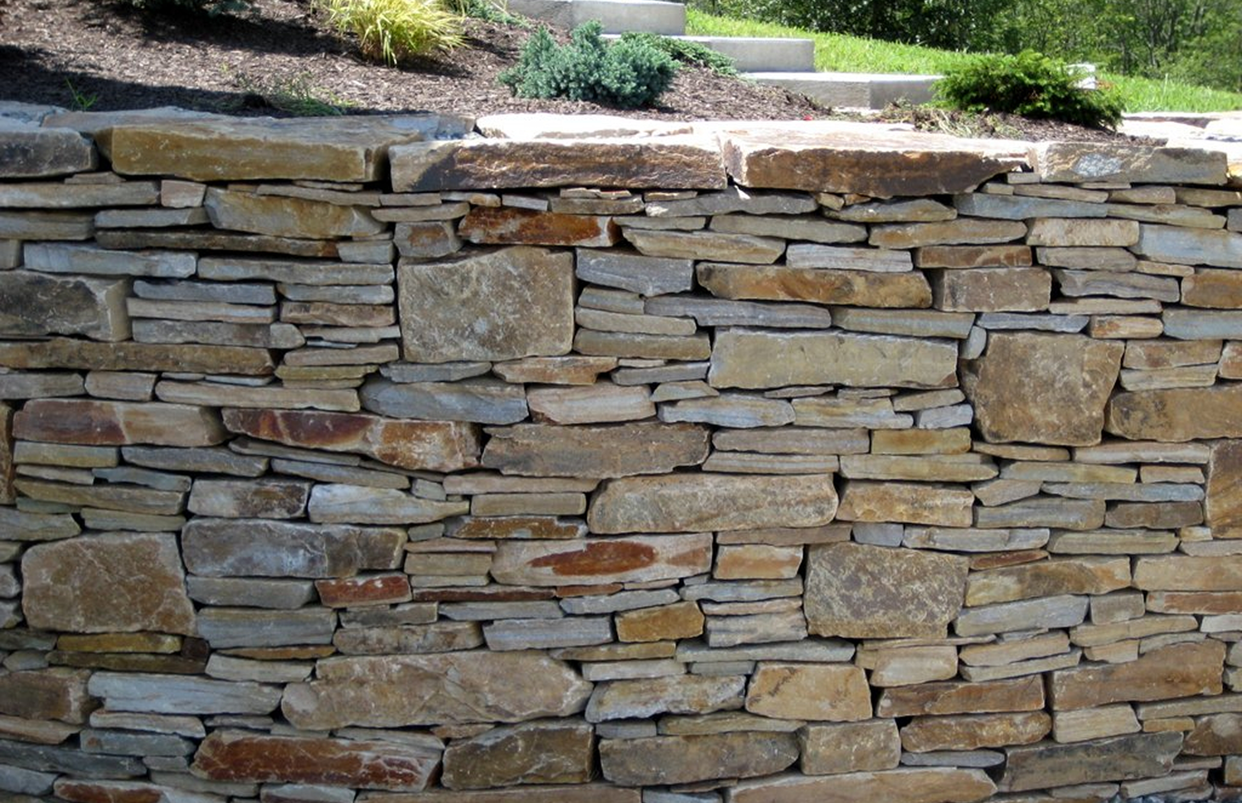 Natural stone wall and plants