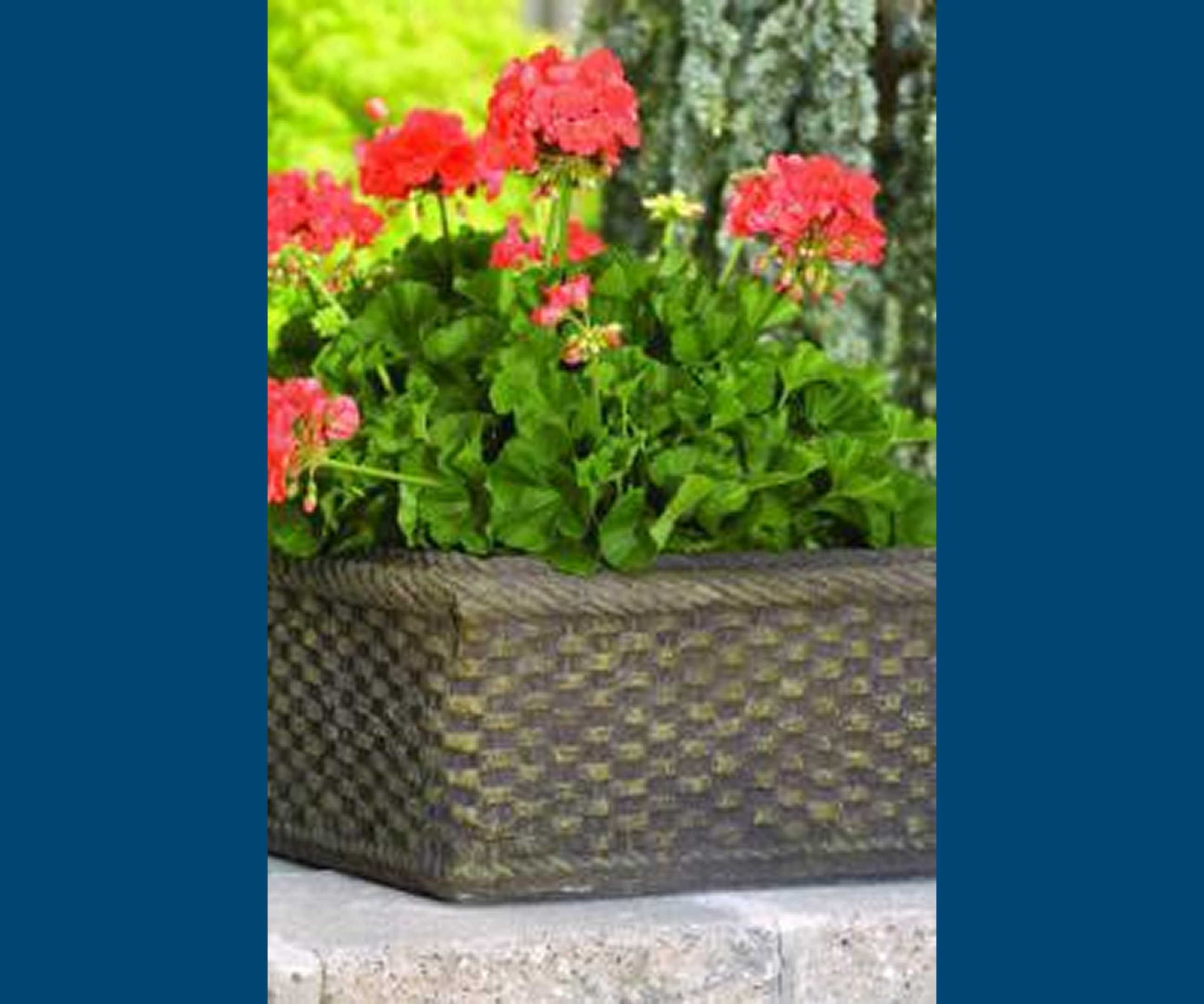 Decorative planter with blooming red flowers