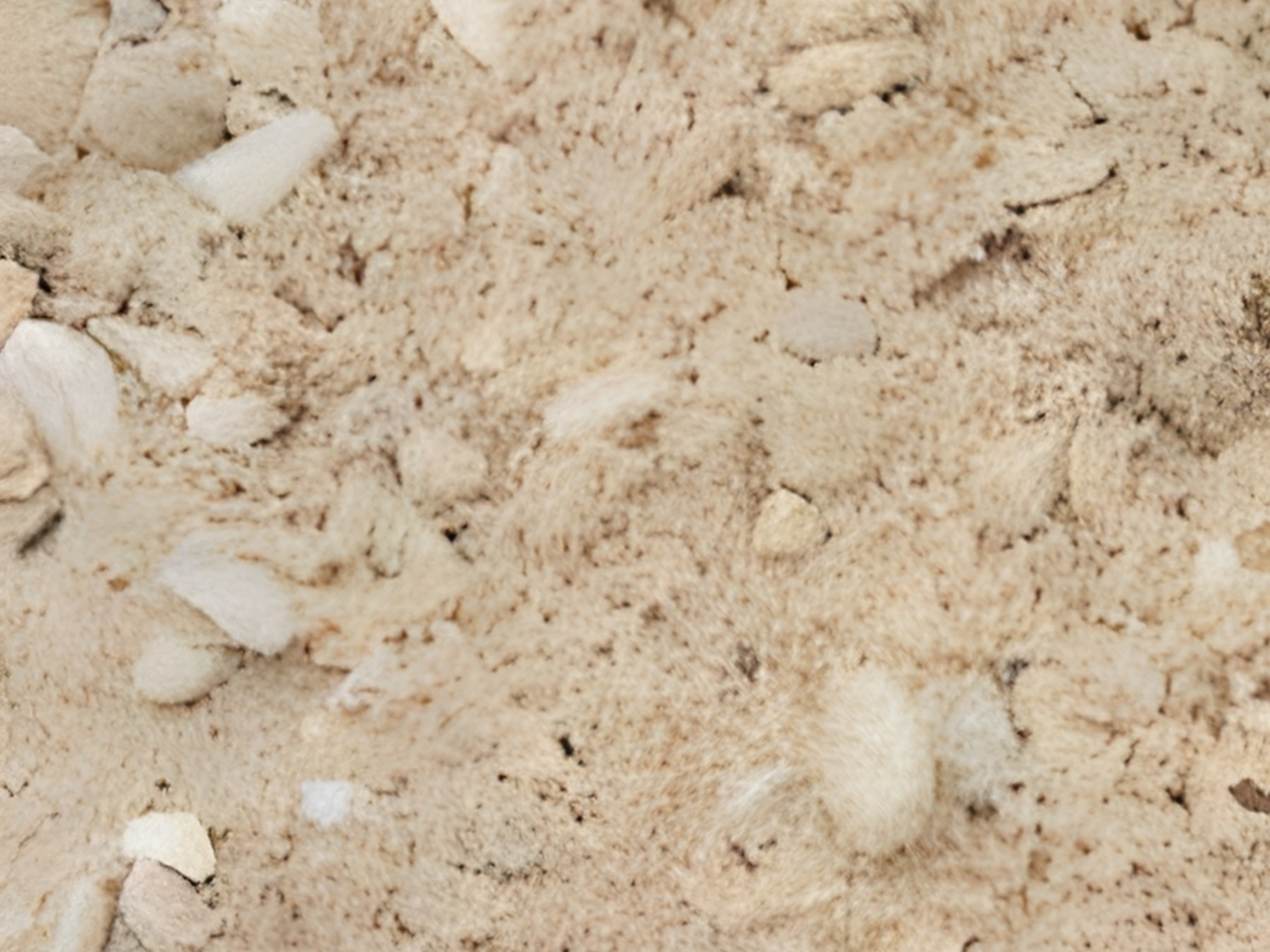 Close-up of beige textured surface