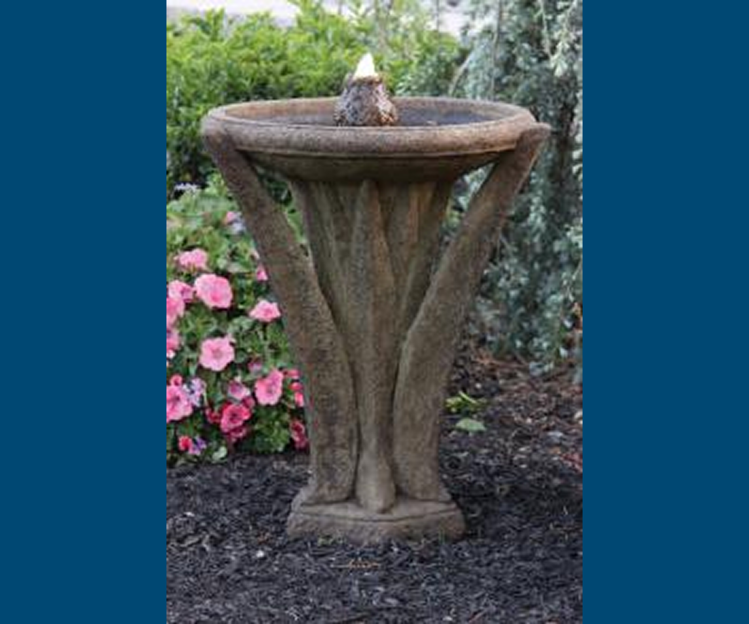 Rustic birdbath surrounded by greenery