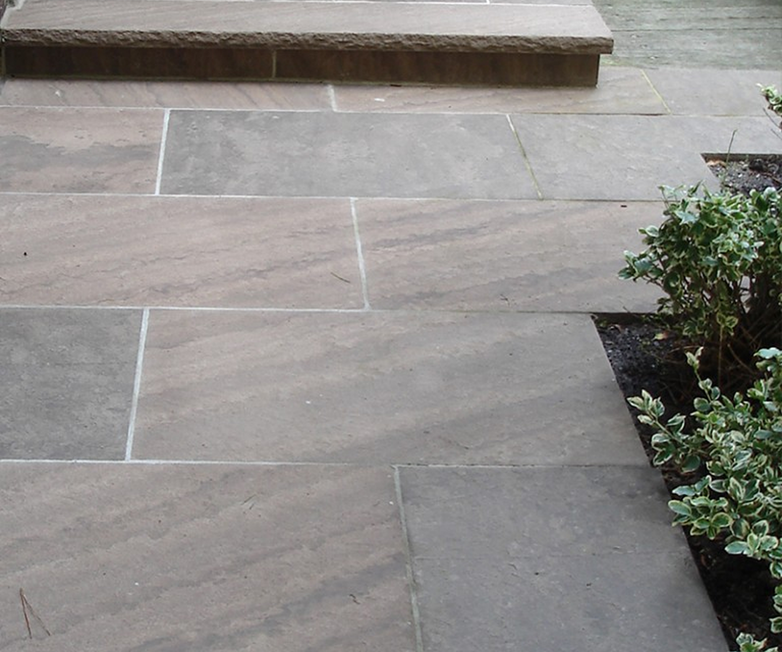 Paved walkway with greenery