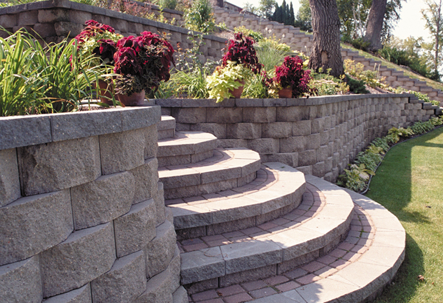 Curved stone steps in garden