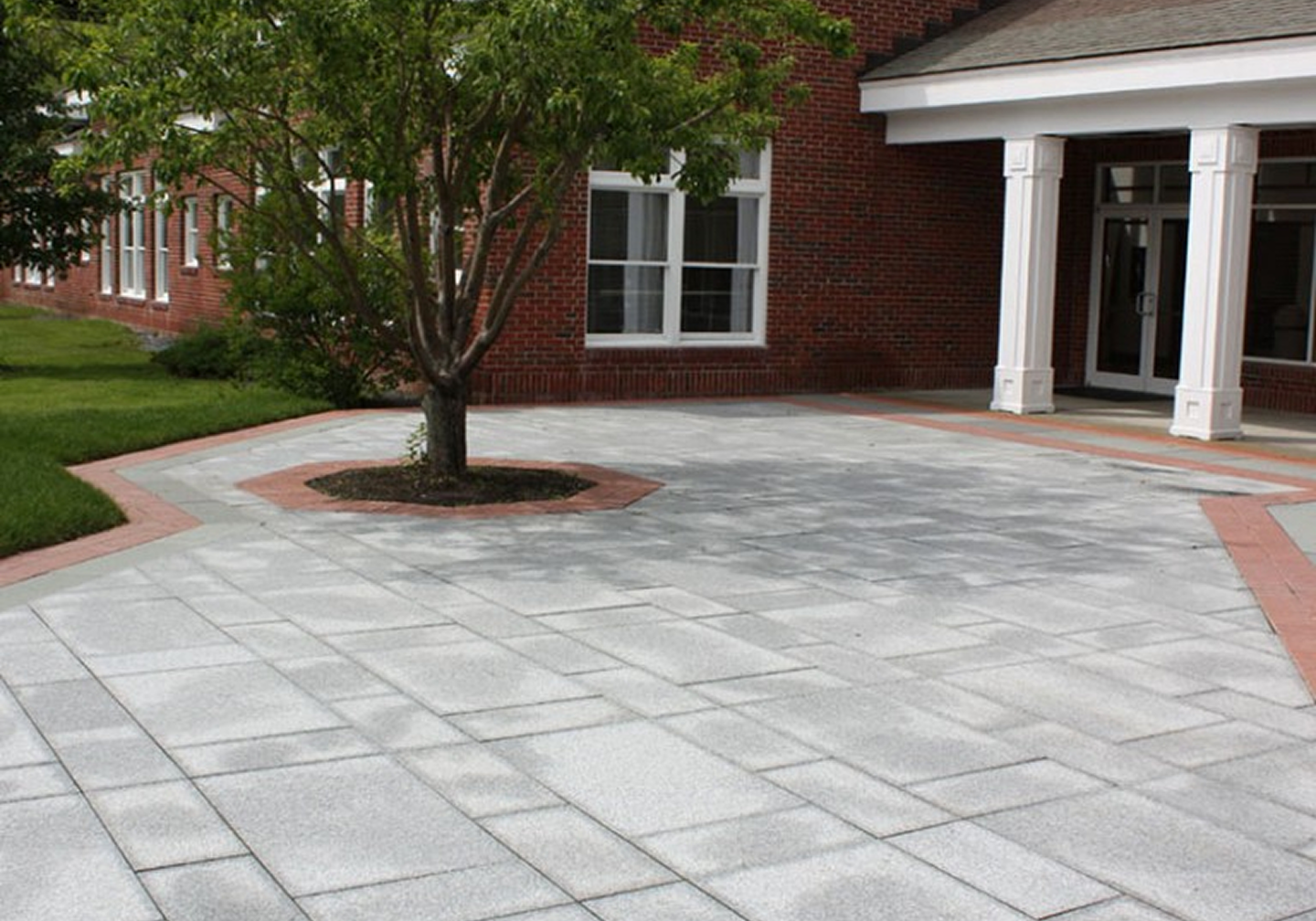 Tree in paved courtyard