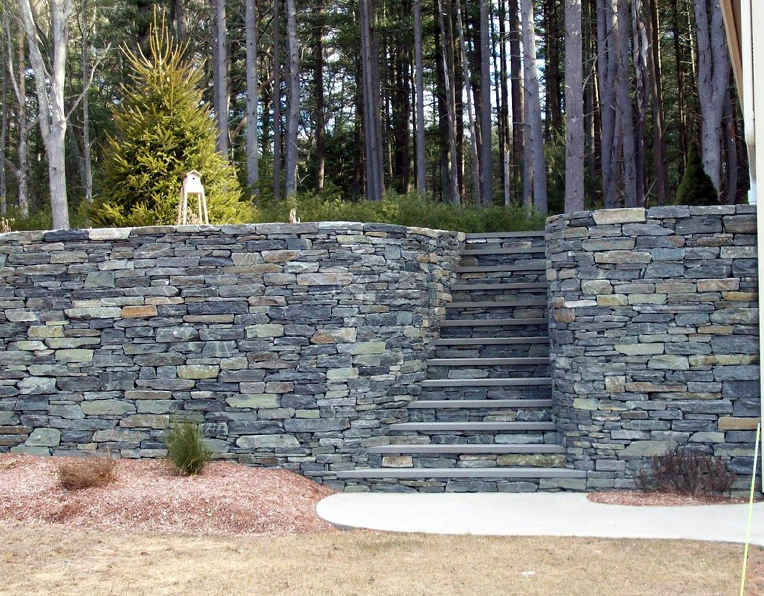 Stone wall with stairs in forest