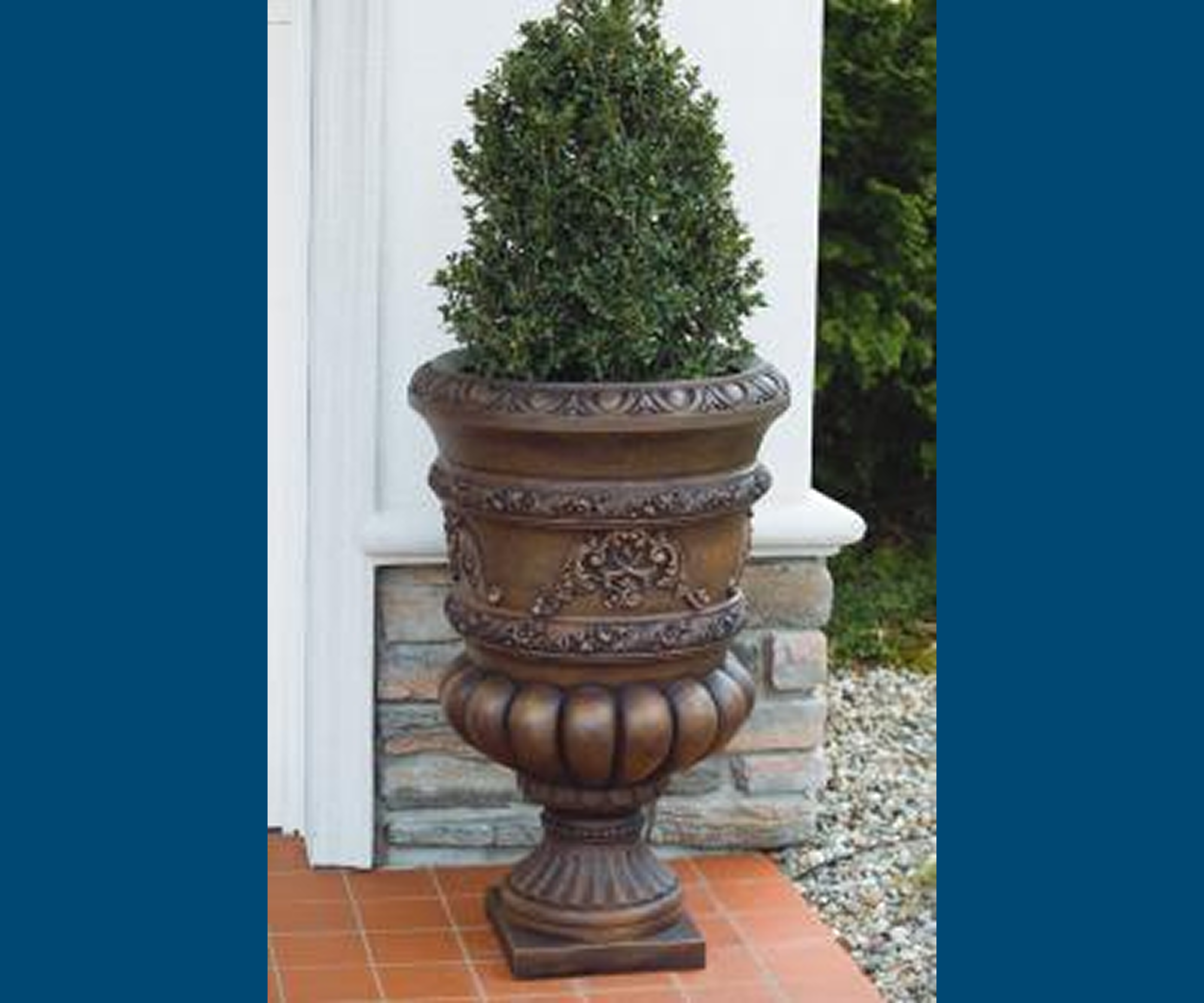 Decorative planter with green shrub