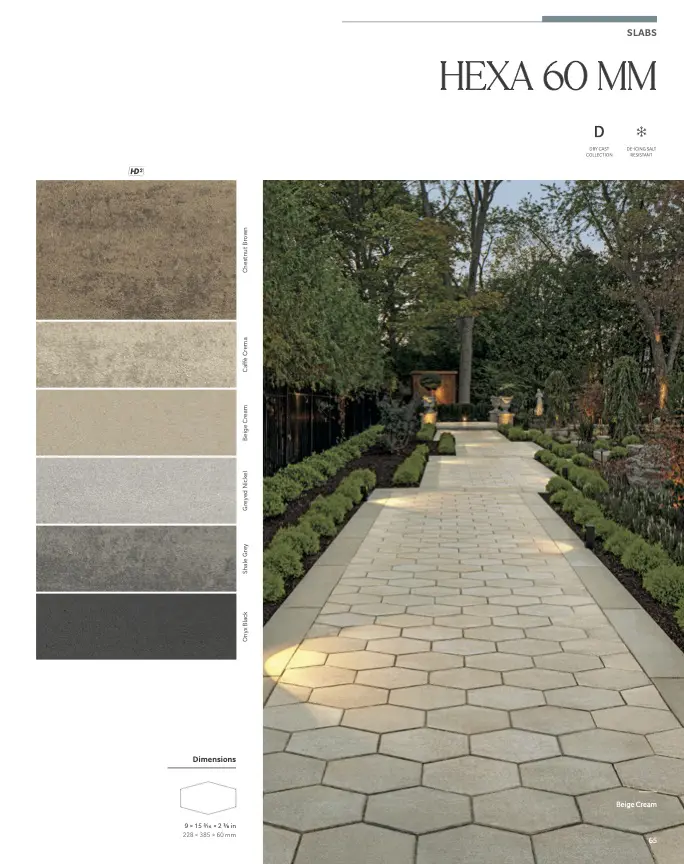 Garden pathway with hexagonal paving slabs