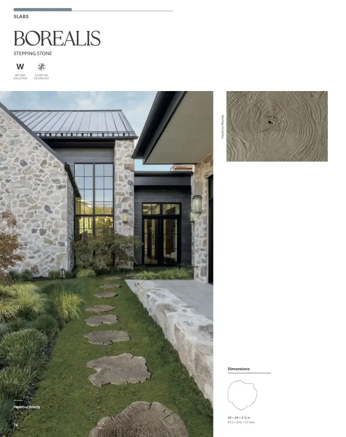 Stone stepping slabs leading to modern house